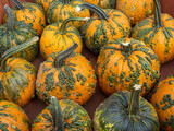 close up photos of  warty green and orange colorful pumpkins and squash at a local farmer's market