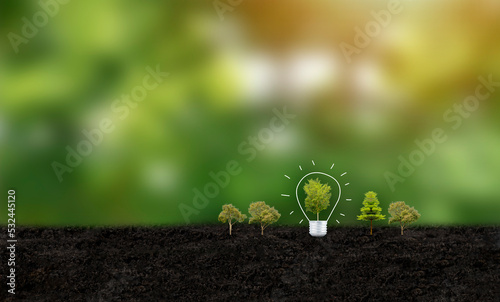 Sustainable renewable energy concept Planting trees to save the environment for the future of the world, communication technology of things, production, inventions reduce global warming energy saving