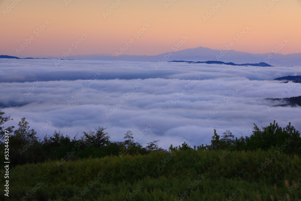 Fototapeta premium 岩手県遠野市 雲海の遠野盆地