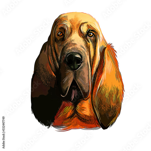Bloodhound Dog Breed Watercolor Sketch Hand Drawn Painting Silhouette Sticker Illustration Sublimation EPS Vector Graphic photo