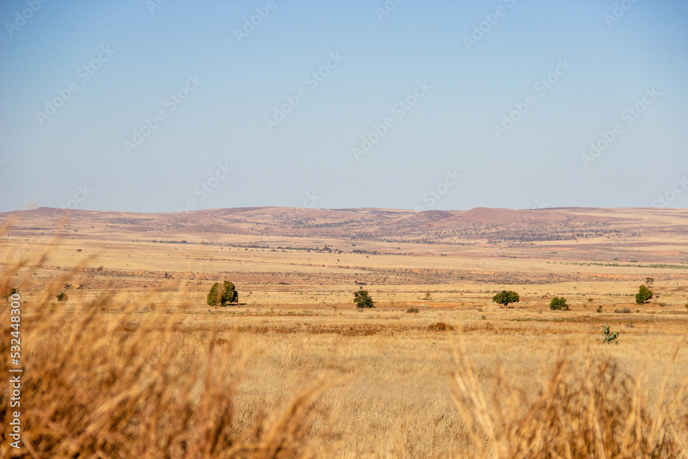 Paysage de savane dans le sud de Madagascar, réchauffement climatique aggravé. Paysage de savane dans le sud de Madagascar, réchauffement climatique aggravé.
