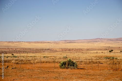 Paysage de savane dans le sud de Madagascar, réchauffement climatique aggravé. 