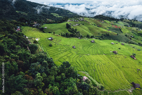 High angle view Green Rice field on terraced in Chiangmai