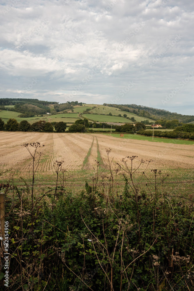 Farming on the South downs way