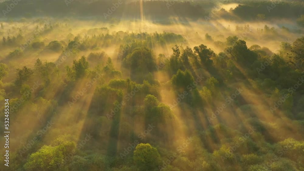 mist over forest aerial shot