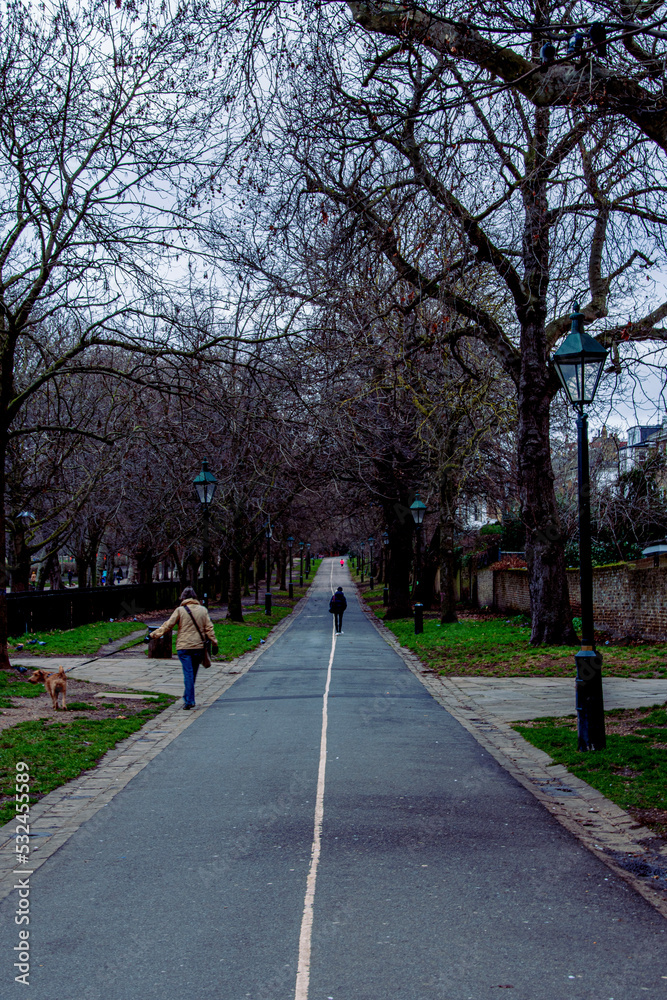 walking in the park