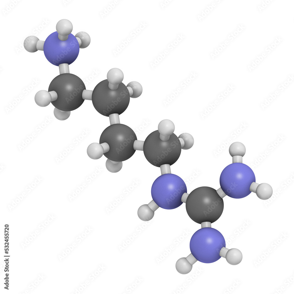 Agmatine molecule, 3D rendering. Agmatine molecule, 3D rendering.