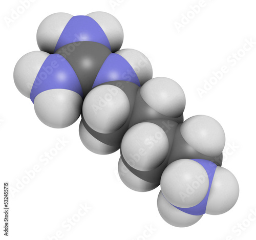 Agmatine molecule, 3D rendering. photo