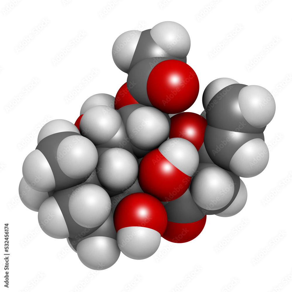 Forskolin (coleonol) molecule. Activates the enzyme adenylyl cyclase, resulting in increased levels of cAMP, 3D rendering. Forskolin (coleonol) molecule. Activates the enzyme adenylyl cyclase, resulting in increased levels of cAMP, 3D rendering.