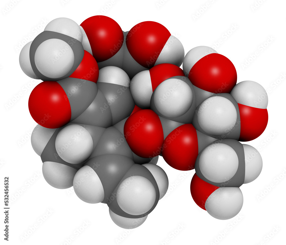 Oleuropein olive component molecule. In part responsible for pungency of virgin olive oil, may have beneficial properties, 3D rendering. Oleuropein olive component molecule. In part responsible for pungency of virgin olive oil, may have beneficial properties, 3D rendering.