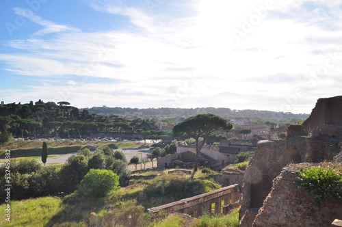 View from the Palatine Hill  Rome