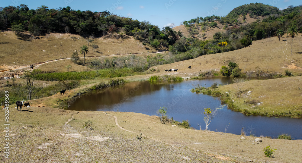 Linda paisagem de outuno em fazenda, com muita vegetação e gado, lindo lago ao fundo, em meio a montes, no bairro Jardim das Oliveiras, Esmeraldas, Minas Gerais, Brasil.