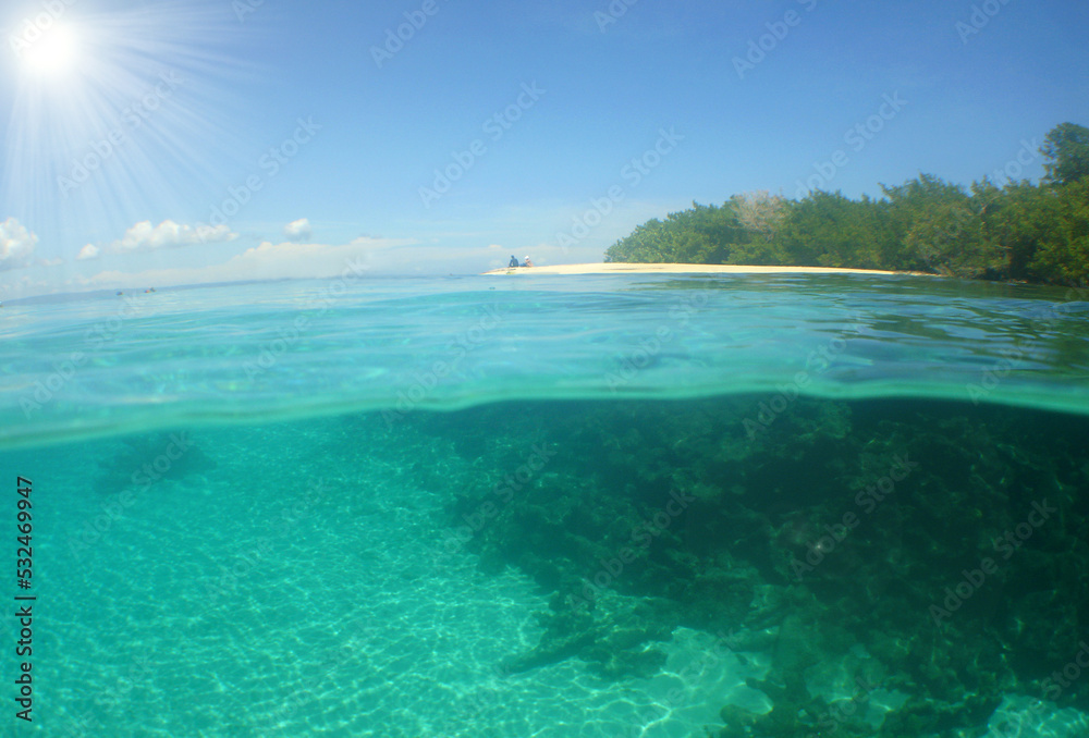 paradise beach , caribbean sea , reef coral. 