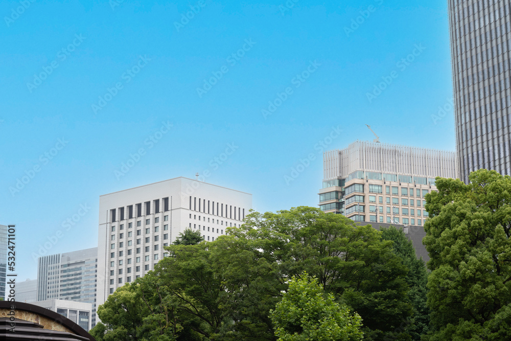 日比谷公園の緑の上に顔を出す、東京のビル