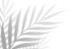 Shadow overlay effect