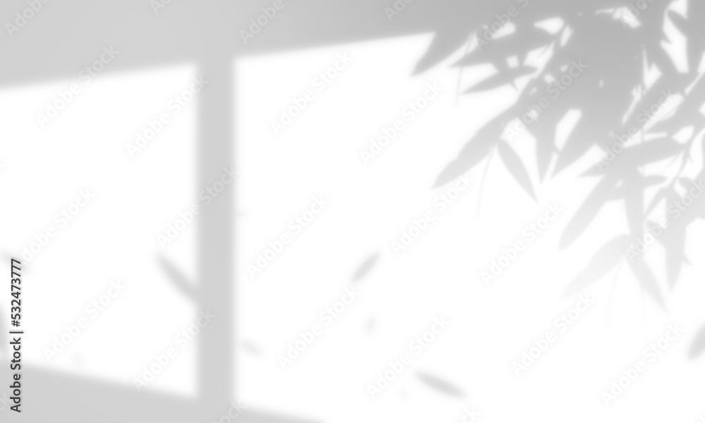 Leaves and window pane shadow overlay effect - obrazy, fototapety, plakaty 