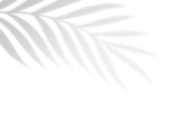Shadow overlay effect