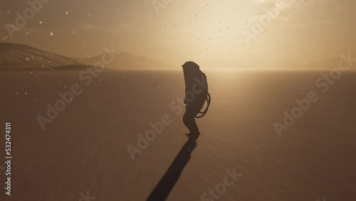 Man in Hazmat Suit walking through poisend landscape photo