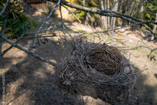 Lindo ninho de pássaro, abandonado, localizado em árvores nas margens da represa da várzea das flores em Contagem, Minas Gerais, Brasil.
