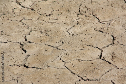 suelo de pantano seco y agrietado