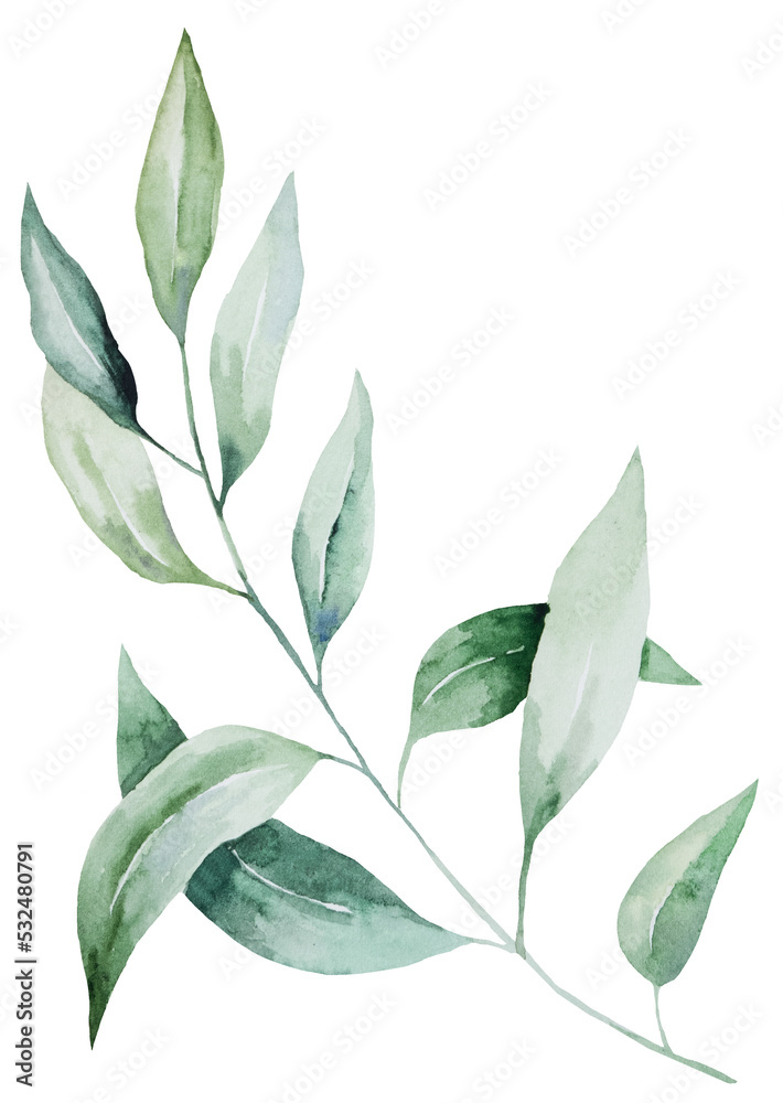 Green watercolor twig with leaves illustration, isolated Element for wedding and party design