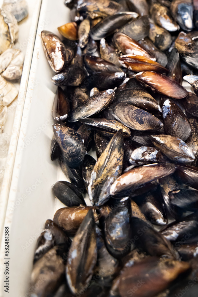 A large bin of fresh mussels at a local outdoor fish and farmer's market