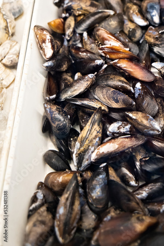 A large bin of fresh mussels at a local outdoor fish and farmer's market
