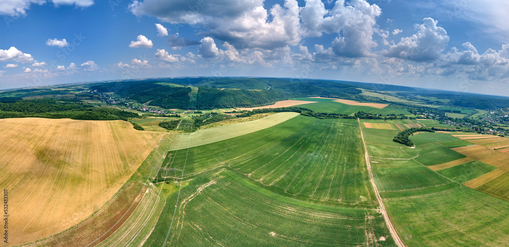 Fototapeta premium Aerial landscape view of green and yellow cultivated agricultural fields with growing crops on bright summer day