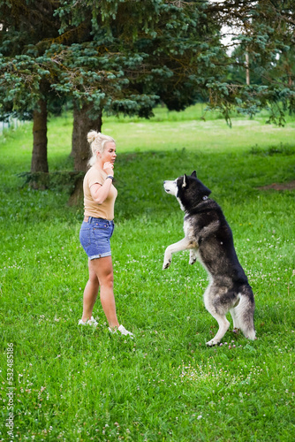 girl training husky dog.  © Dmitri