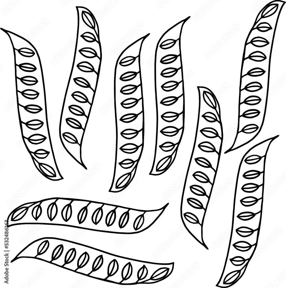 Pea pod with peas. Hand drawn outline doodle icon. Transparent isolated on white background. Vector illustration for greeting cards, posters, patches, prints for clothes, emblems. Pea pod with peas. Hand drawn outline doodle icon. Transparent isolated on white background. Vector illustration for greeting cards, posters, patches, prints for clothes, emblems.