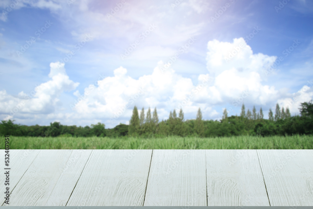 Obraz premium beautiful wooden floor and sky and meadow background