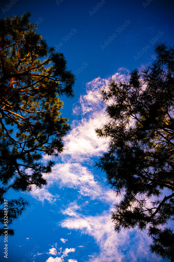 the autumn sky the autumn sky
