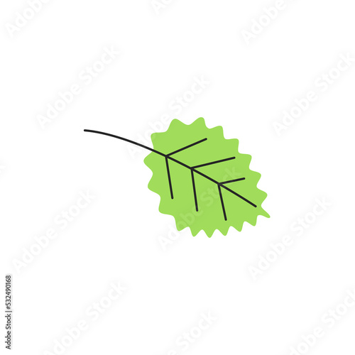 Light green autumn leaf with veins. Fall aspen foliage season. Decorative botanical item. Simple single quaking aspen leaf silhouette. Hand drawn flat vector illustration isolated on white background