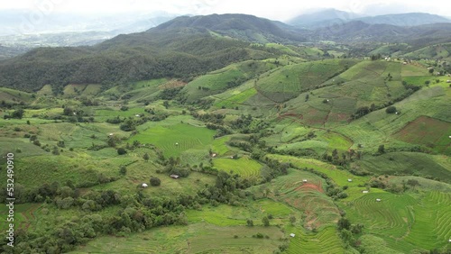 High aerial view of Pabongpaing, Chaingmai, Thailand in rainy season of green field rice farm. local travel video for create content of Thailand. 