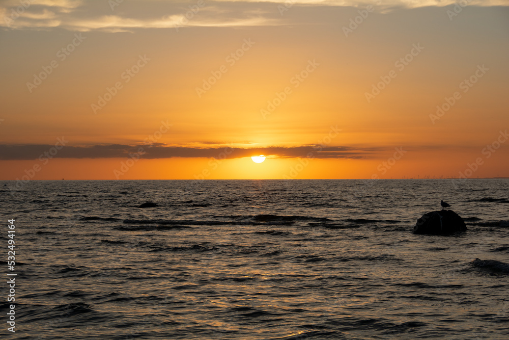 Sunset over the sea with seagull on a rock