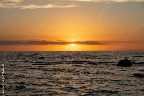 Sunset over the sea with seagull on a rock