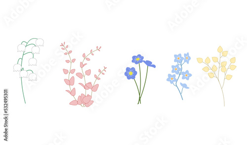 Vector floral set including Miriam  leaves and flowers