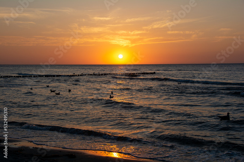 Beach idyll - Sunset over the sea  with some seagulls swimming in the water