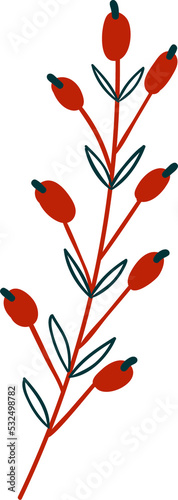 Branch, berries. Illustration.