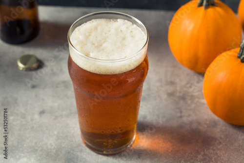 Boozy Refreshing Pumpkin Ale Craft Beer