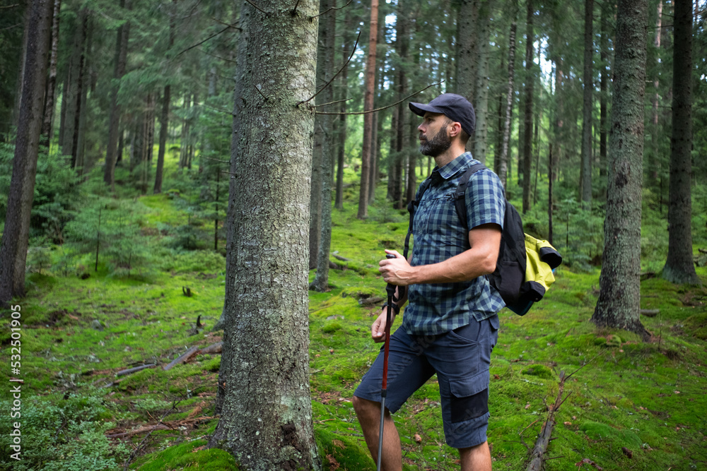 Hiker beard man in a green mountain forest. Dressed up in a cap, shorts, and plaid shirt with a backpack and trekking sticks Hiker beard man in a green mountain forest. Dressed up in a cap, shorts, and plaid shirt with a backpack and trekking sticks