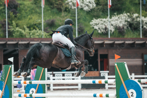 The rider in the show jumping competition jumps an obstacle. Horse and rider are jumping the barrier. Equestrian Sports. View from the back.