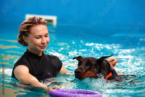 Dog in life jacket swim in the swimming pool with coach. Pet rehabilitation. Recovery training prevention for hydrotherapy. Pet health care