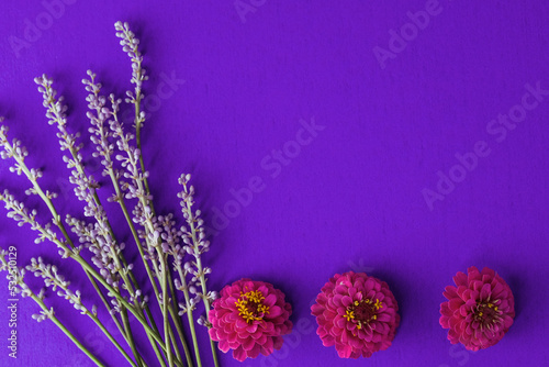 Purple zinnia blooms with copy space by flowers for cheerful mother s day background.