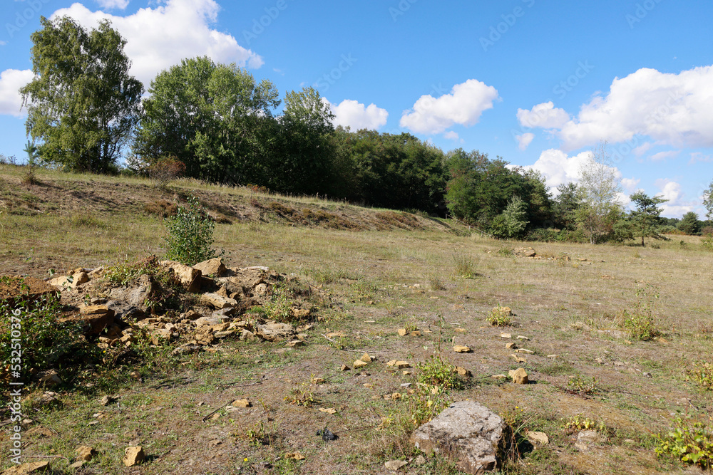 The Waldheide in Heilbronn, Baden-Württemberg, Germany, Europe. The Waldheide in Heilbronn, Baden-Württemberg, Germany, Europe.