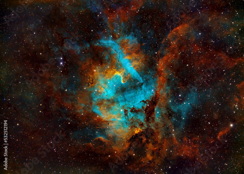 Fototapeta Naklejka Na Ścianę i Meble -  Lion Nebula