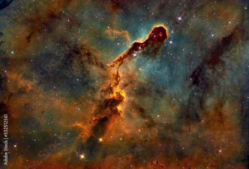 Elephants Trunk Nebula IC1398