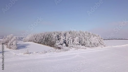 Wallpaper Mural Slow flight in winter landscape with forest, winter holiday theme. Spruce tree covered by white snow Czech Republic, Vysocina region highland Torontodigital.ca