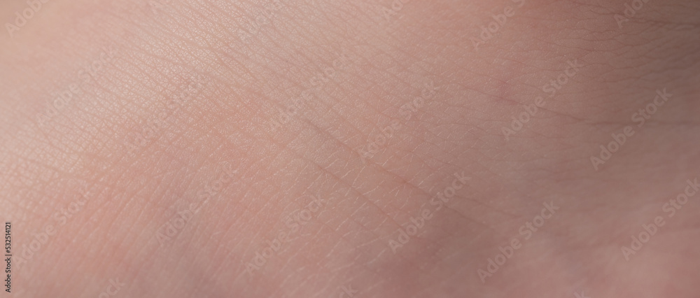 Fototapeta premium Clean skin structure