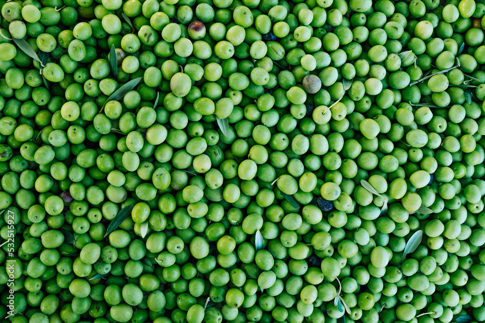 Close up shot group of ecological heap of green raw olives at an indoor food market. Manzanilla green olives tree harvest in Seville, Spain. Abstract background with circles for copy space Close up shot group of ecological heap of green raw olives at an indoor food market. Manzanilla green olives tree harvest in Seville, Spain. Abstract background with circles for copy space